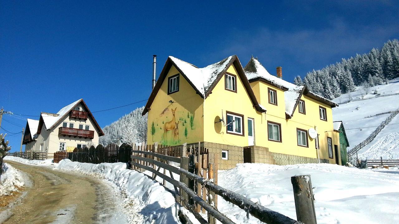 Casa Marcela Fundata Exteriör bild