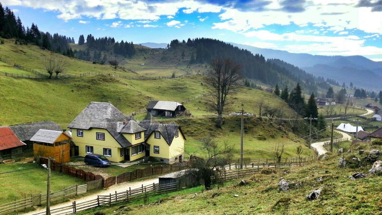 Casa Marcela Fundata Rum bild